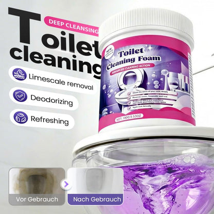 Toilet Cleaning Foam 100g Each - Pack Of 2