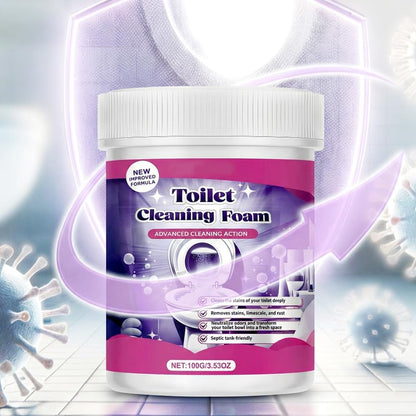 Toilet Cleaning Foam 100g Each - Pack Of 2