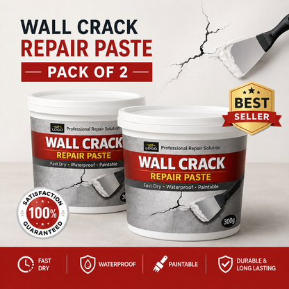 Wall Crack Repair Paste 300g Each Pack Of 2