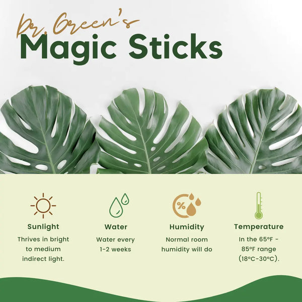 Plant Food Magic Sticks Pack of 1 (25 sticks)