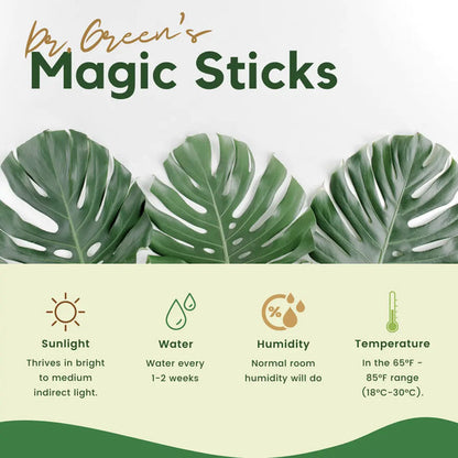 Plant Food Magic Sticks Pack of 1 (25 sticks)